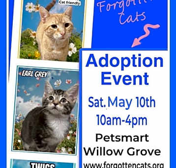 Photo of Willow Grove PetSmart April 26 Adoption Event