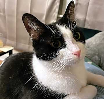 Photo of Colette