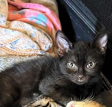 Photo of Hershey