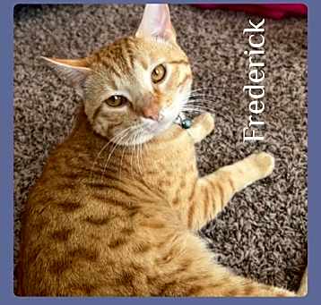 Photo of FREDERICK