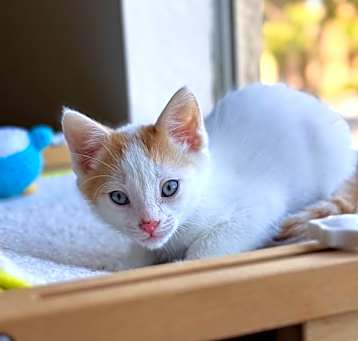Photo of Jasper