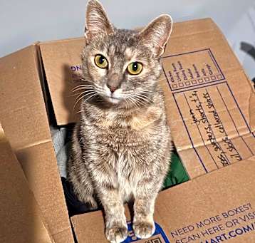 Photo of Daisy Mae