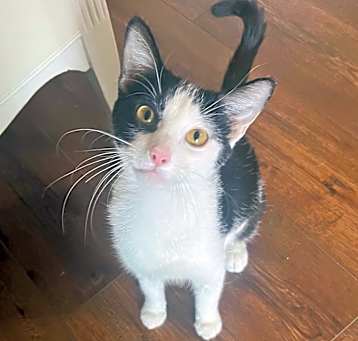 Photo of Angel