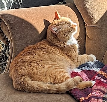 Photo of Benny