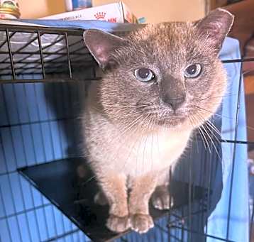 Photo of Anakin