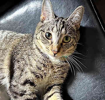 Photo of Valentina