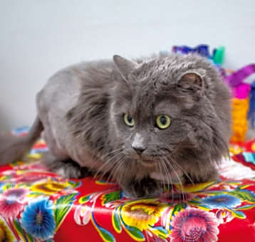 Photo of Sterling