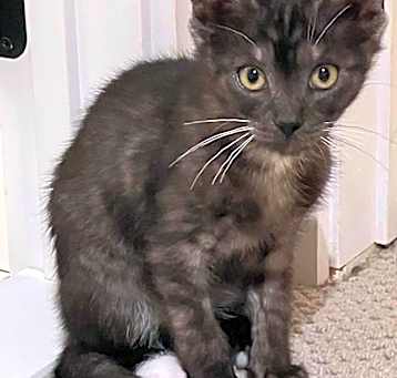 Photo of Cash