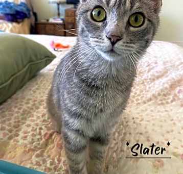 Photo of Slater