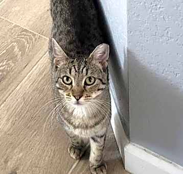 Photo of Bellabean Phinney