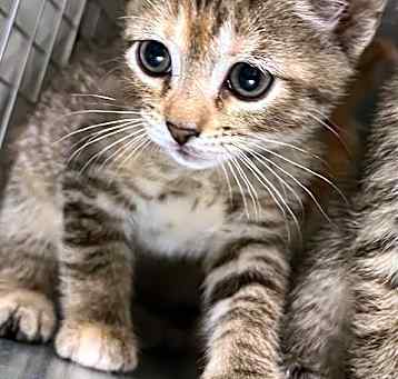 Photo of *EDNA