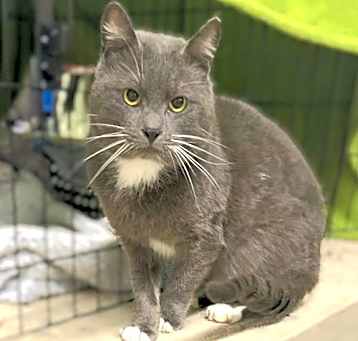 Photo of Artemis
