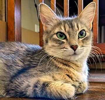 Photo of Ivy