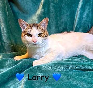 Photo of Larry
