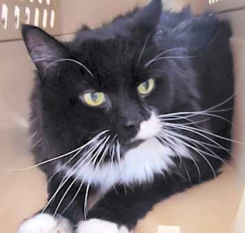 Photo of Molly