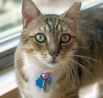 Photo of Delira