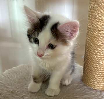 Photo of Halfpint