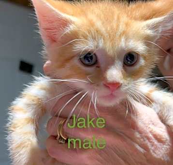 Photo of Jake B.