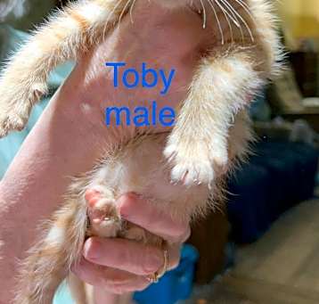 Photo of Toby B.