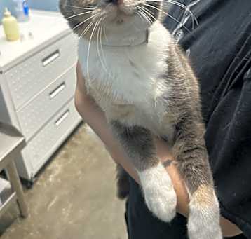 Photo of Mable Baby