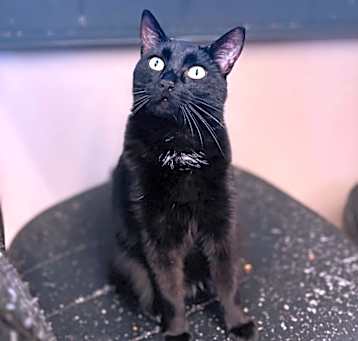 Photo of Holly