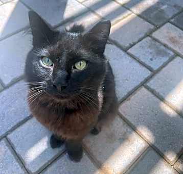 Photo of Little Dude
