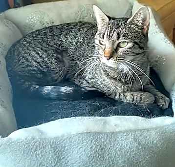 Photo of Lulu