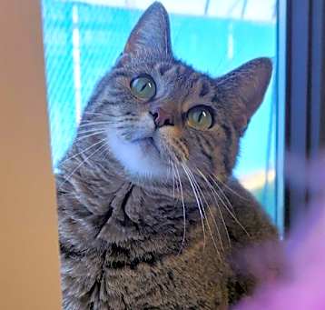 Photo of Tootie