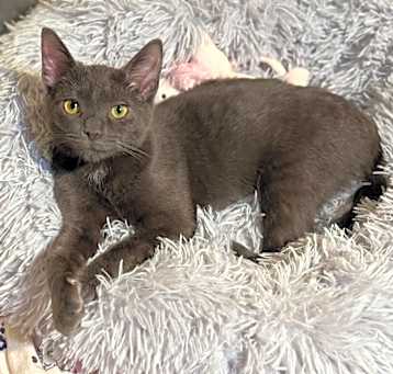 Photo of Bree