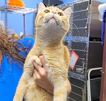 Photo of Sunny