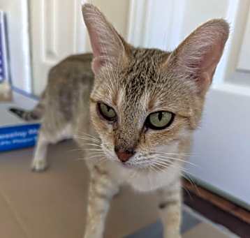 Photo of Sandy