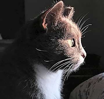 Photo of Georgie