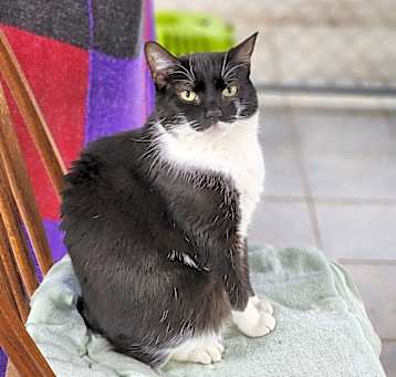 Photo of Monte 