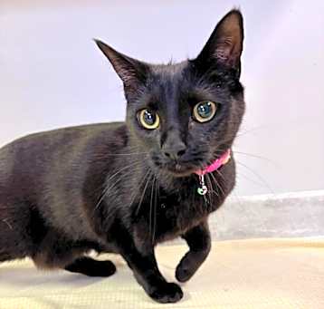 Photo of Mia