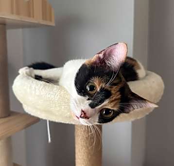 Photo of Catarina