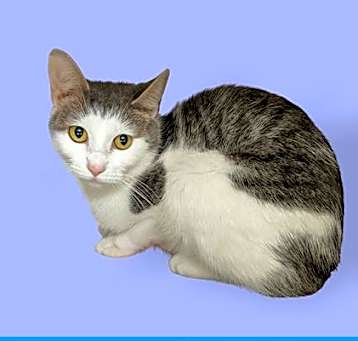 Photo of ANGEL