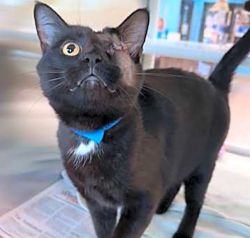 Photo of WEDNESDAY