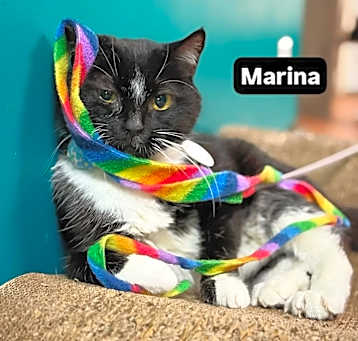 Photo of Marina