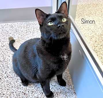 Photo of Simon