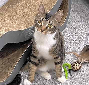 Photo of Buttercup