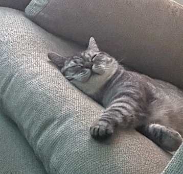 Photo of Pause