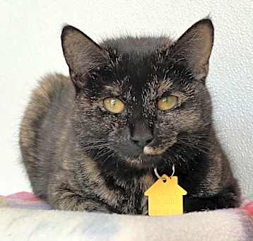 Photo of Luna