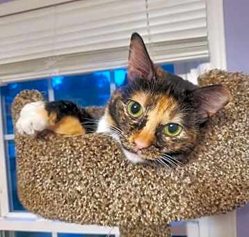 Photo of Mystique