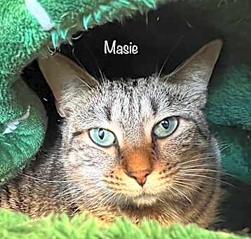 Photo of Masie