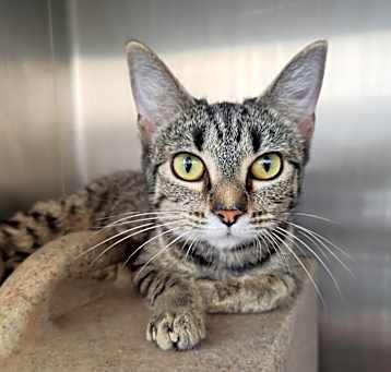 Photo of Wilma