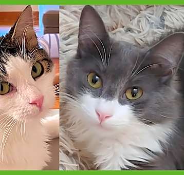 Photo of Delilah and Batman