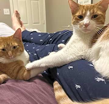 Photo of Gilbert and Norman