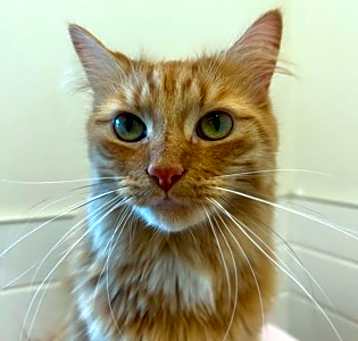 Photo of Rupert