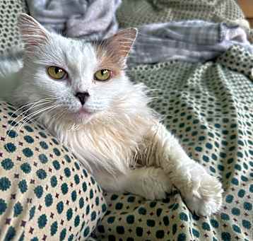 Photo of Gabriella