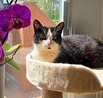 Photo of Pipsqueak (fka Esmerelda)